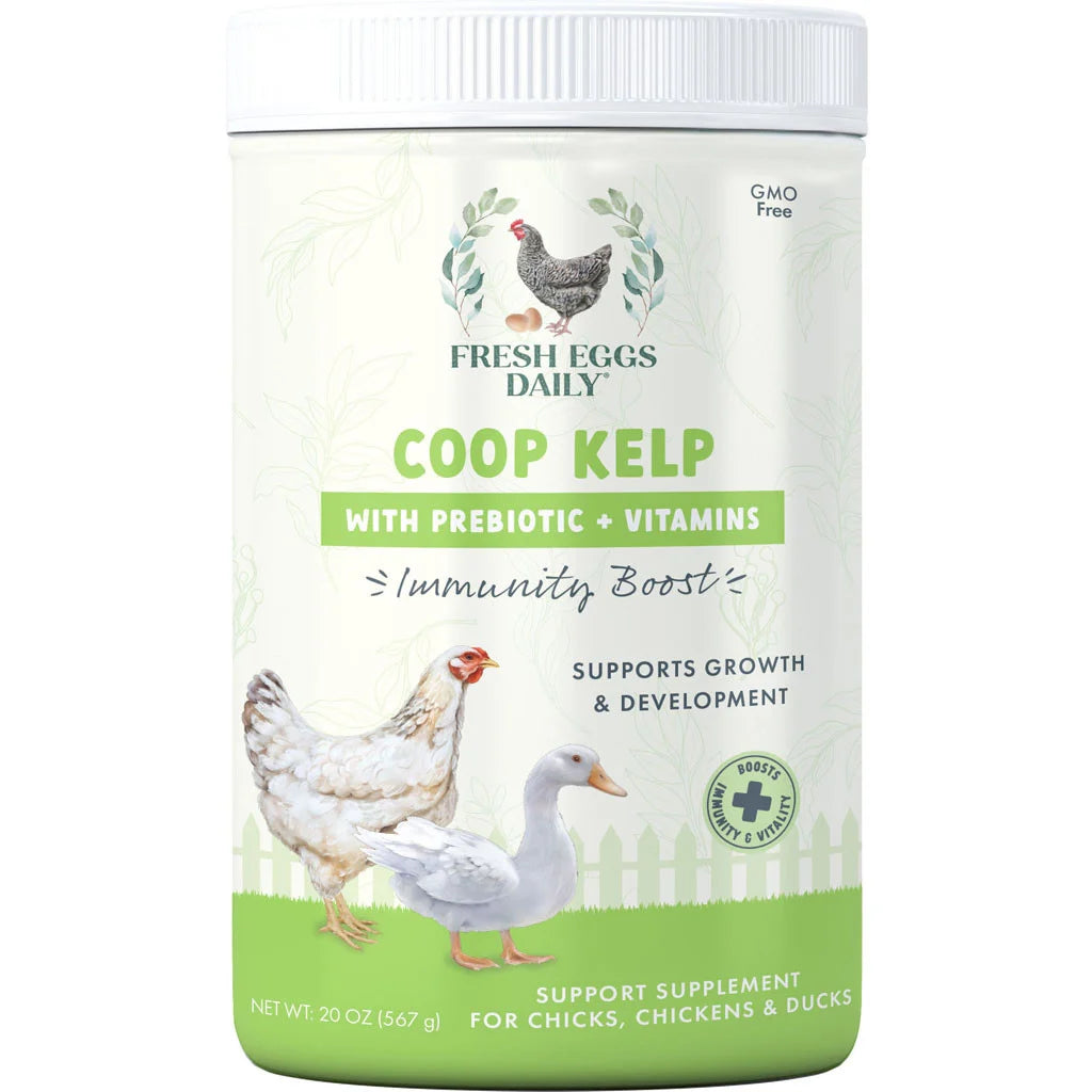 Coop Kelp For Immune Support by Fresh Eggs Daily, 20 oz.