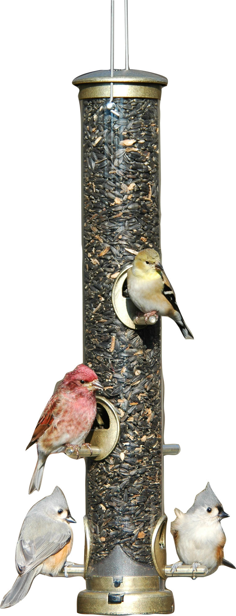 Quick-Clean Seed Tube Feeder