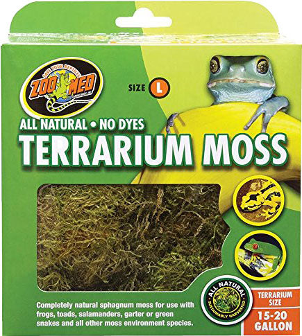 Terrarium Moss
