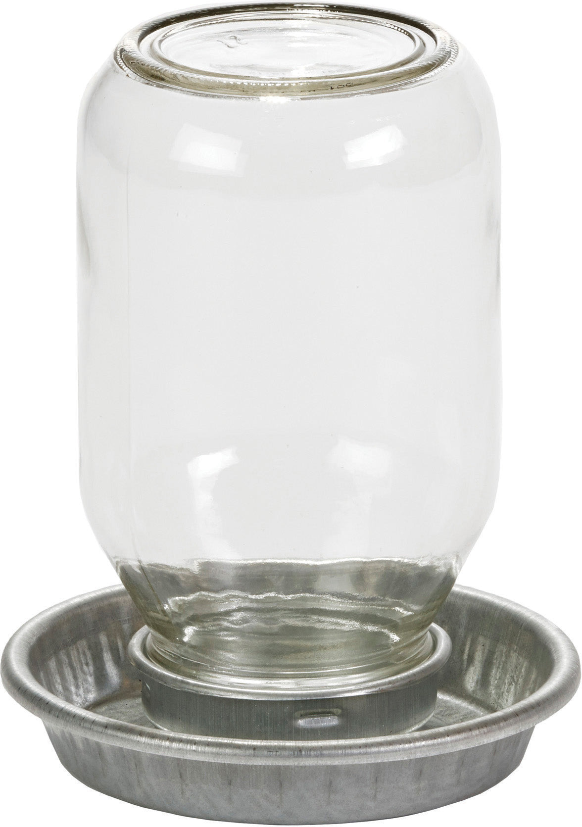 Little Giant Mason Jar Baby Chick Waterer W/Jar