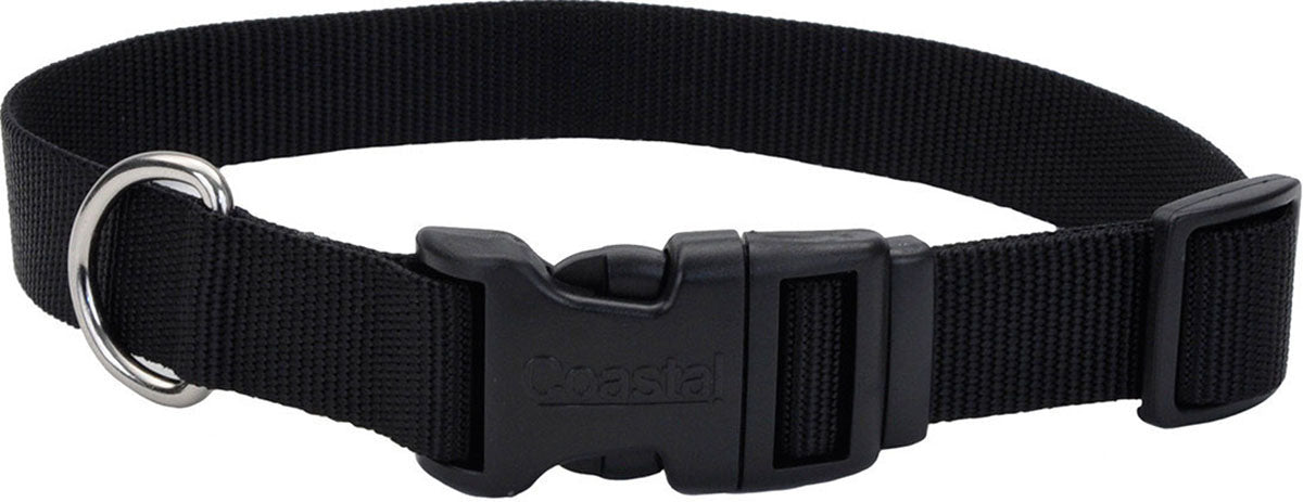 Adjustable Dog Collar W/ Plastic Buckle