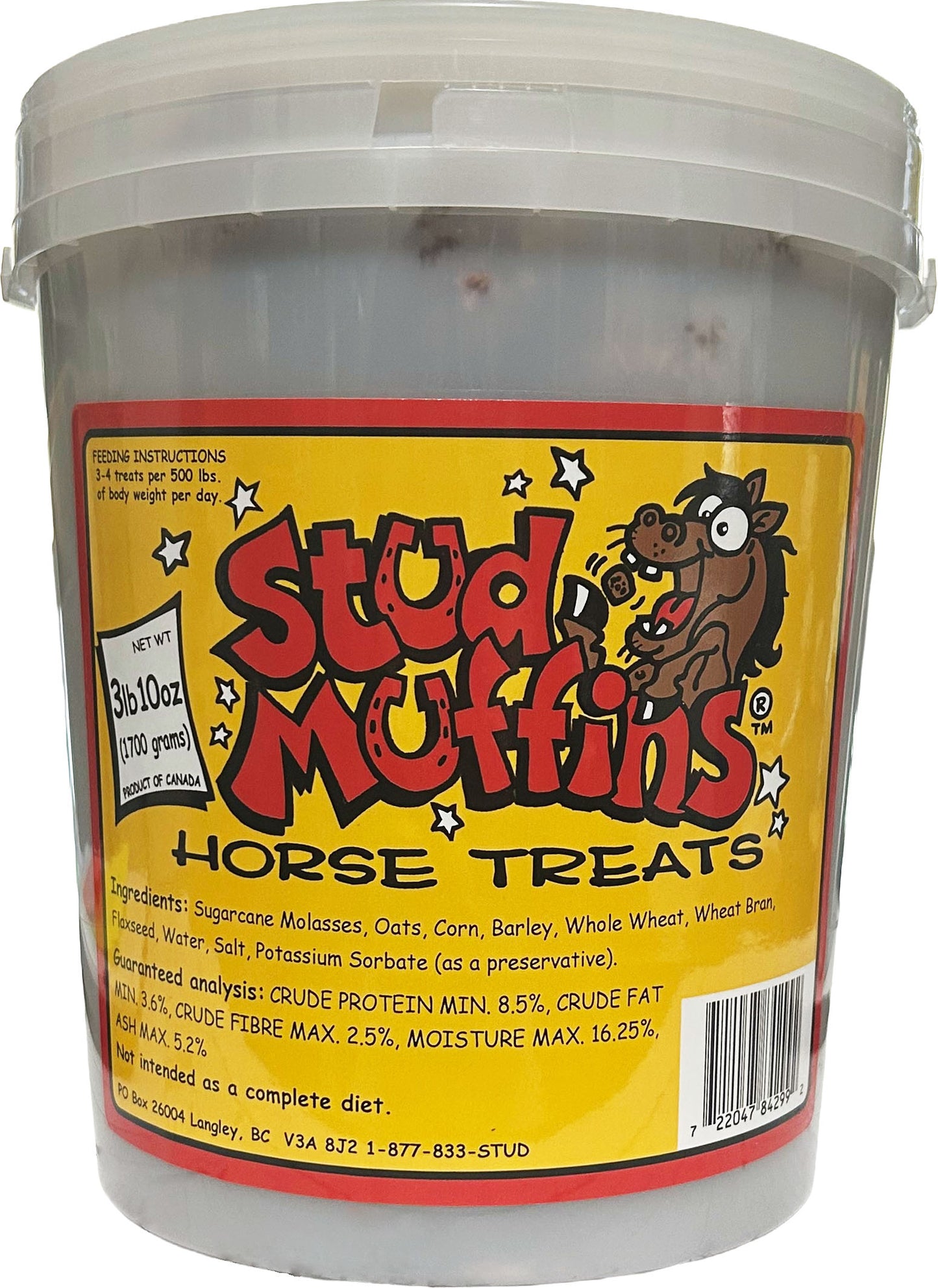 Stud Muffins Horse Treat Tub