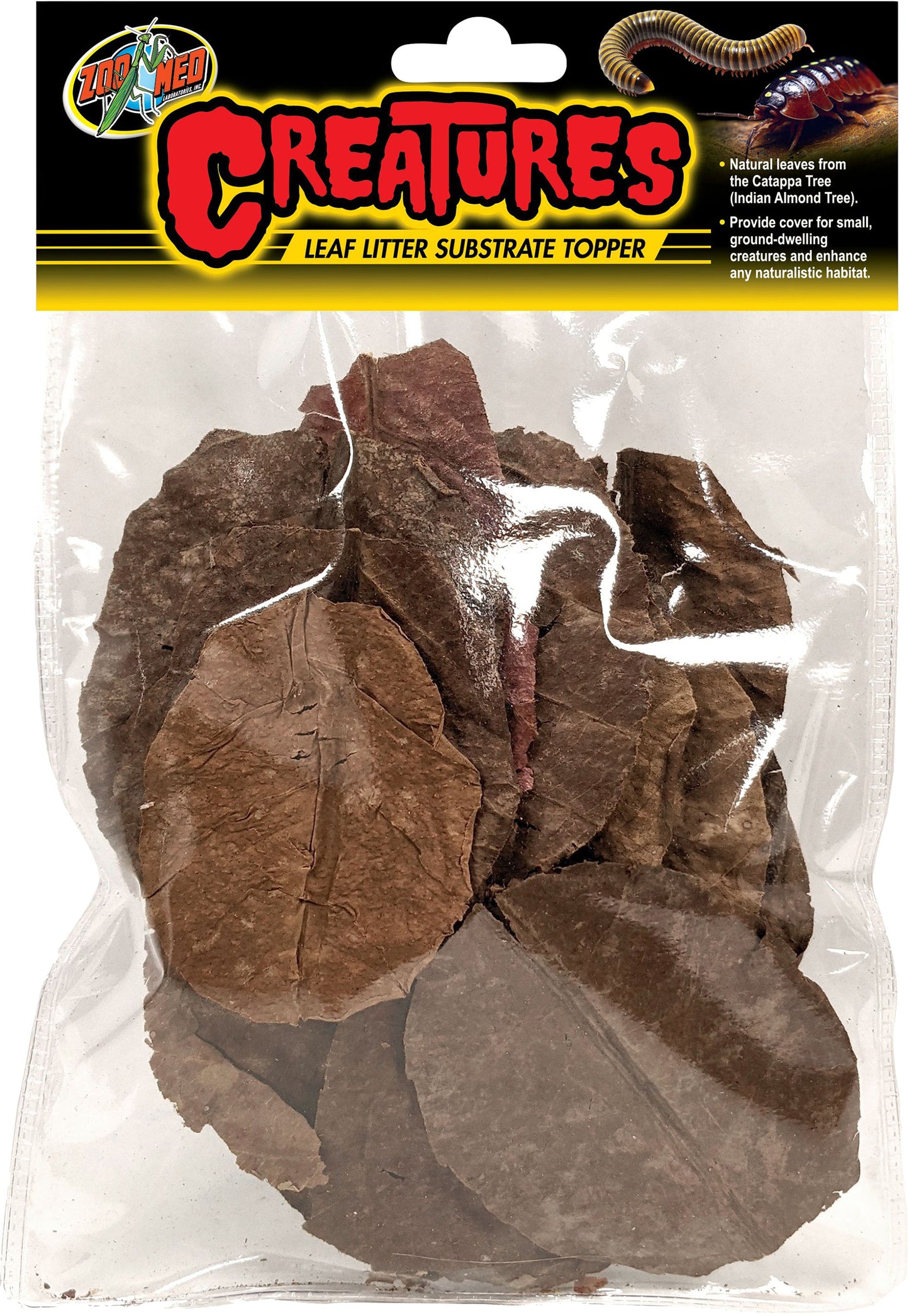 Creatures Leaf Litter