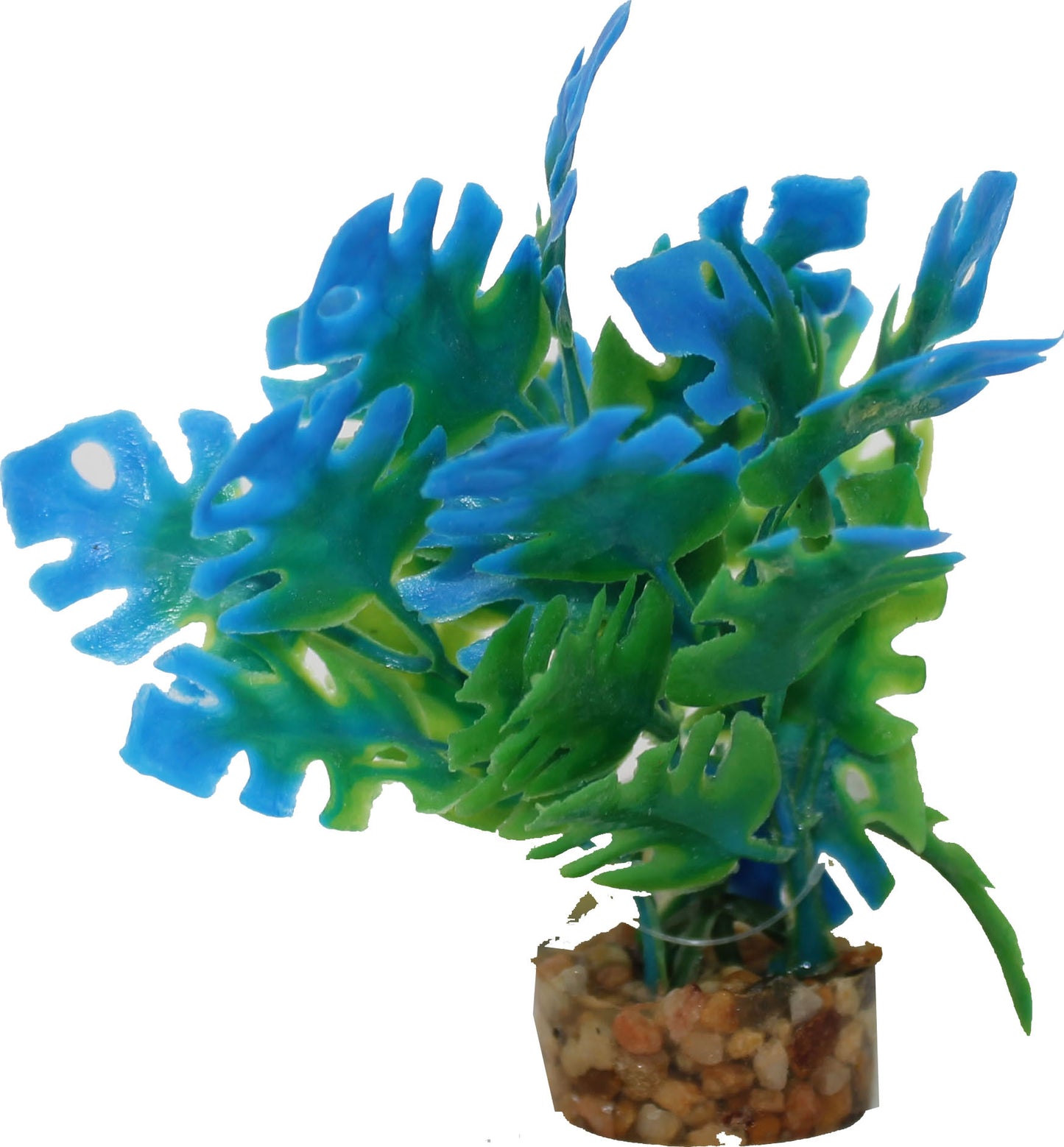 Color Burst Florals Philo Leaf Plant