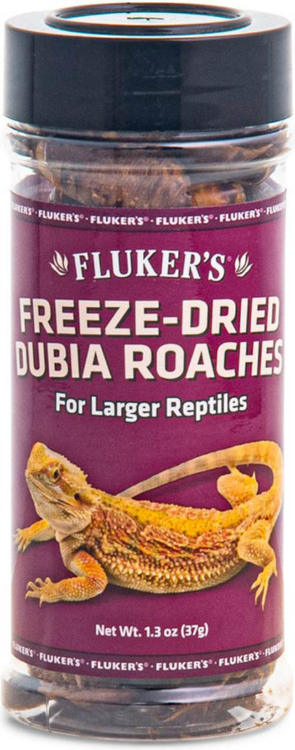 Freeze Dried Dubia Roaches