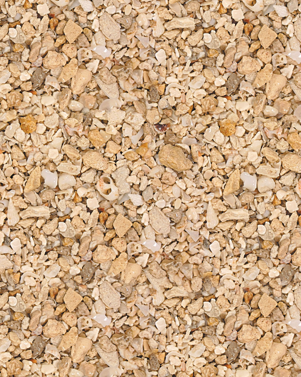 Caribsea Aragonite Aquatic Substrate