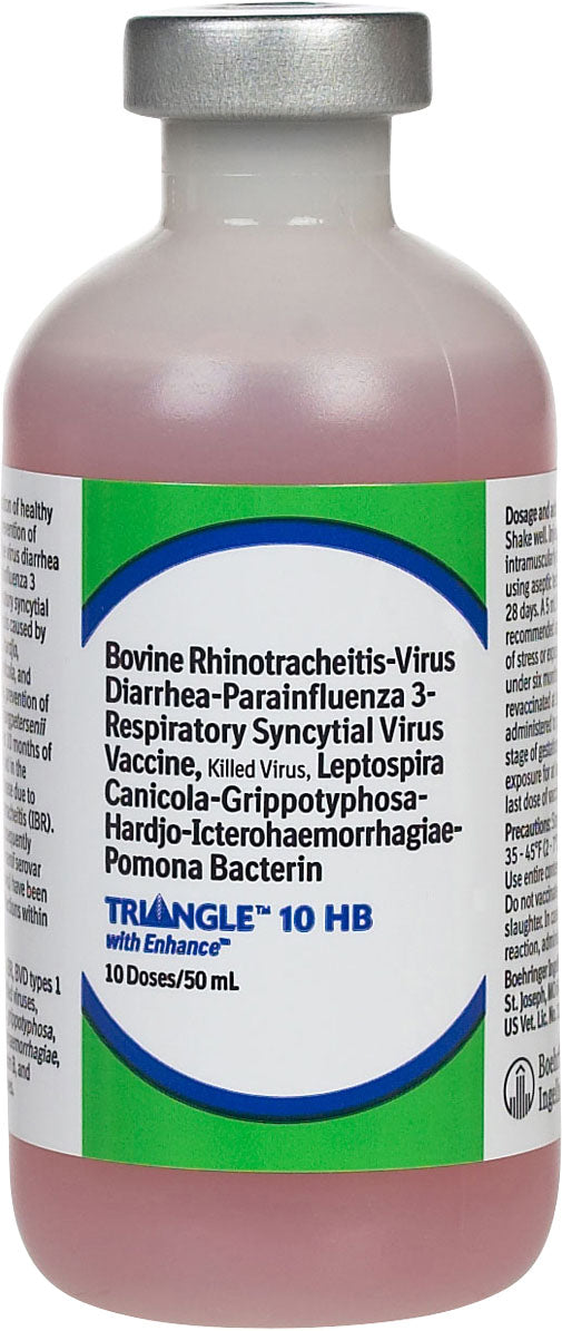 Triangle Hb 10