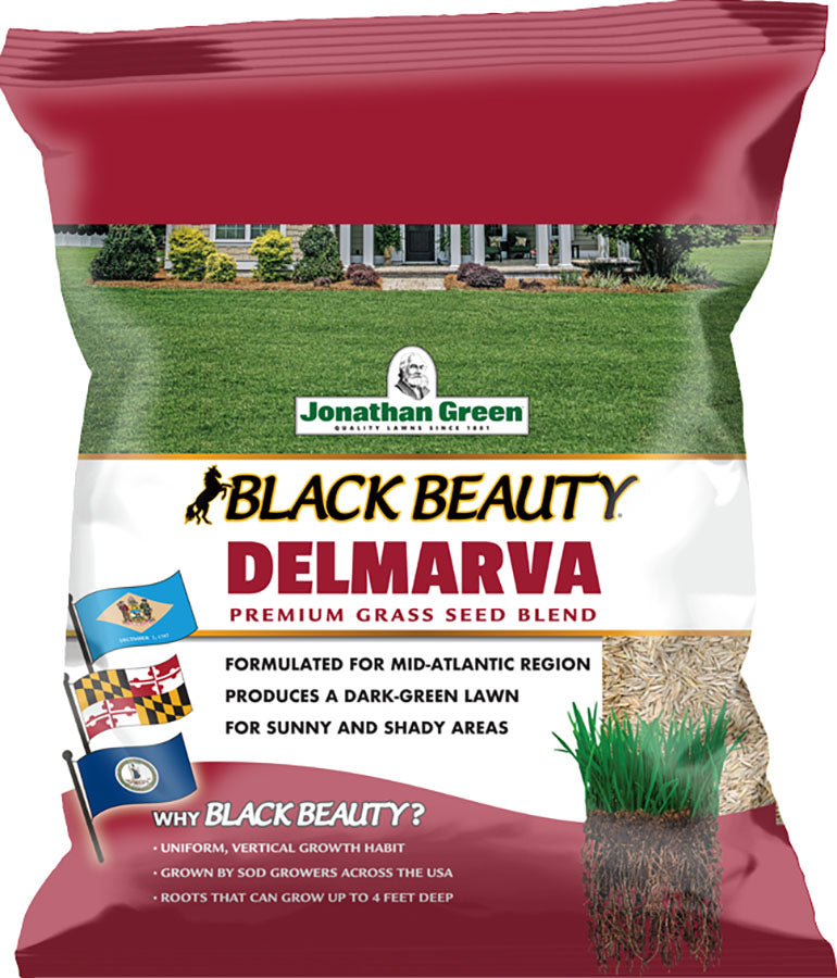 Black Beauty Delmarva Grass Seed Mixture