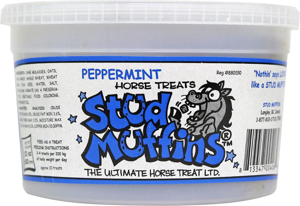 Stud Muffins Horse Treat Tub