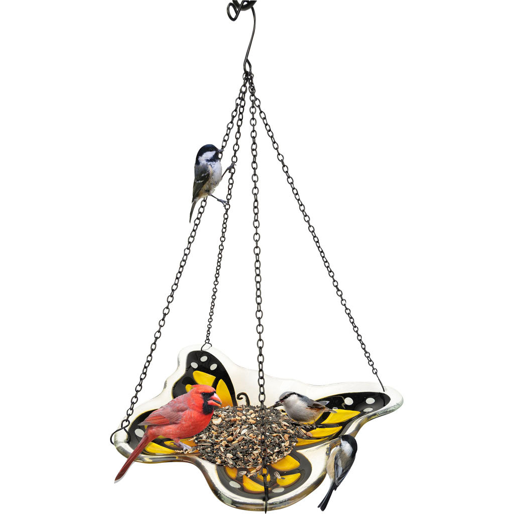 Monarch Butterfly Glass Feeder/Fruit Station