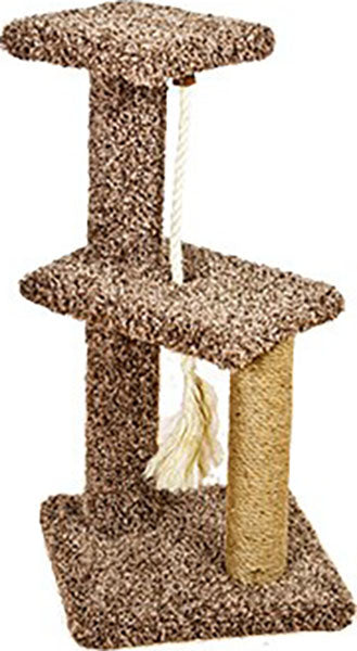 Activity Tree W/ Rope