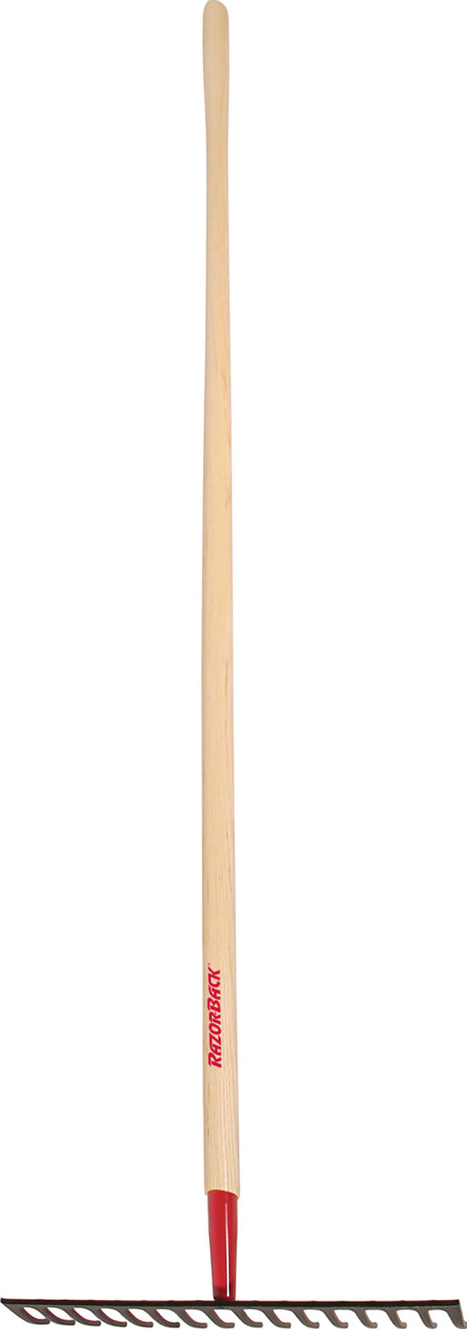 Razor-Back 16 Tine Level Head Forged Steel Rake