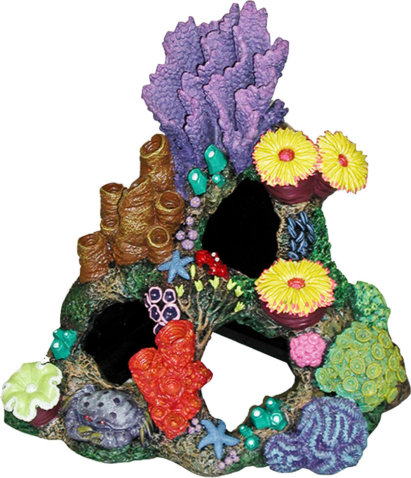 Exotic Environments Indonesian Reef Cavern