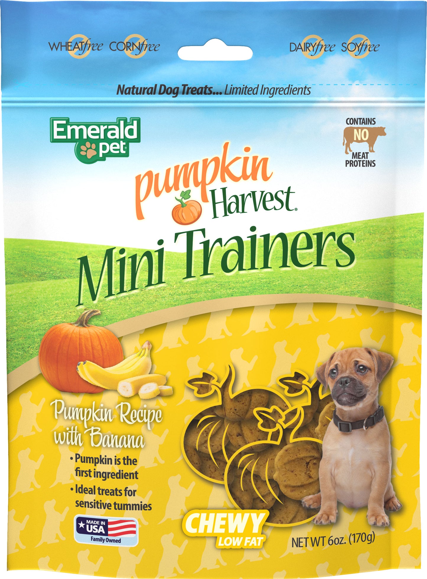 Emerald Pet Pumpkin Harvest Trainers Chewy Dog Tre