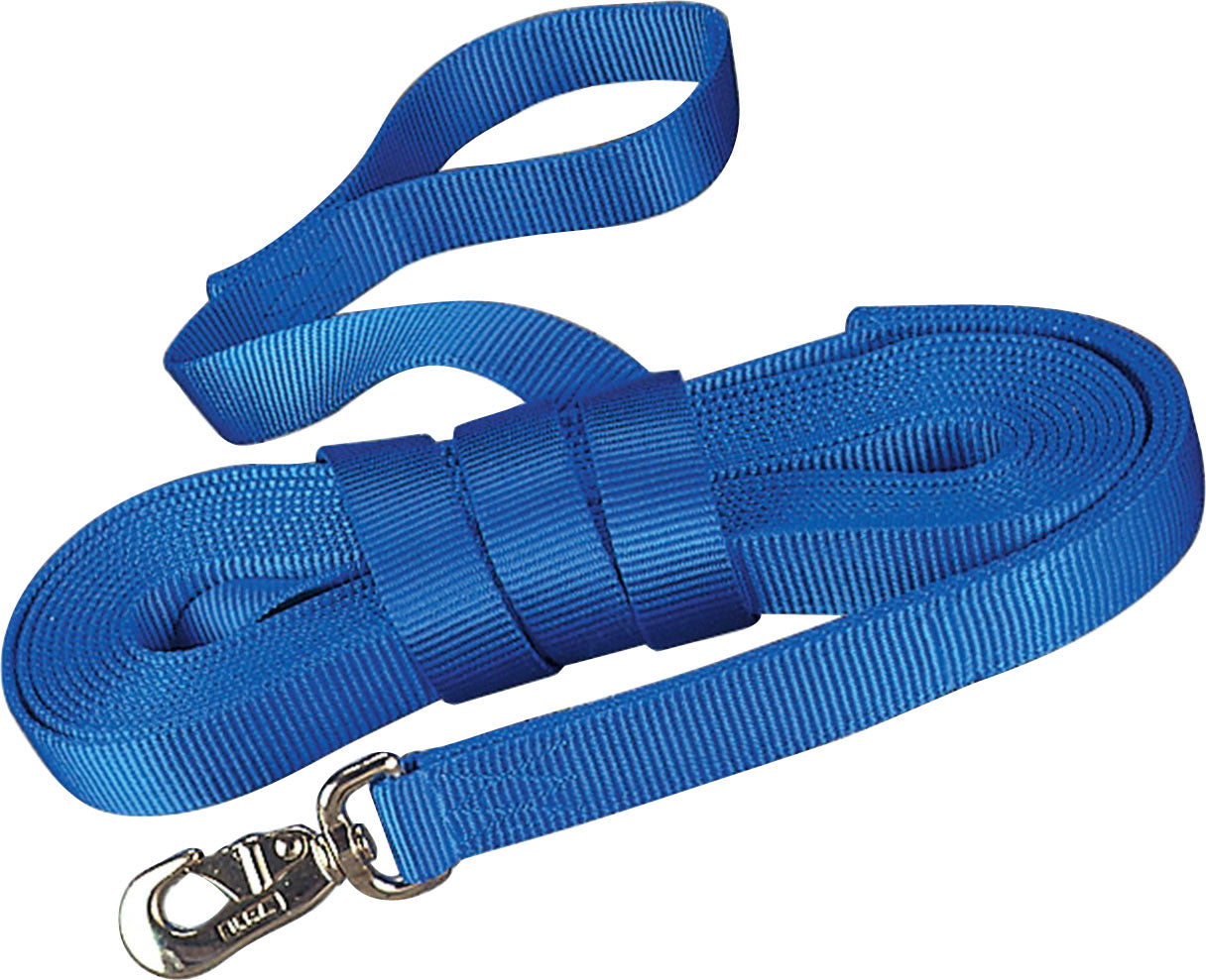 Hamilton Single Thick Lunge Line W/Swivel