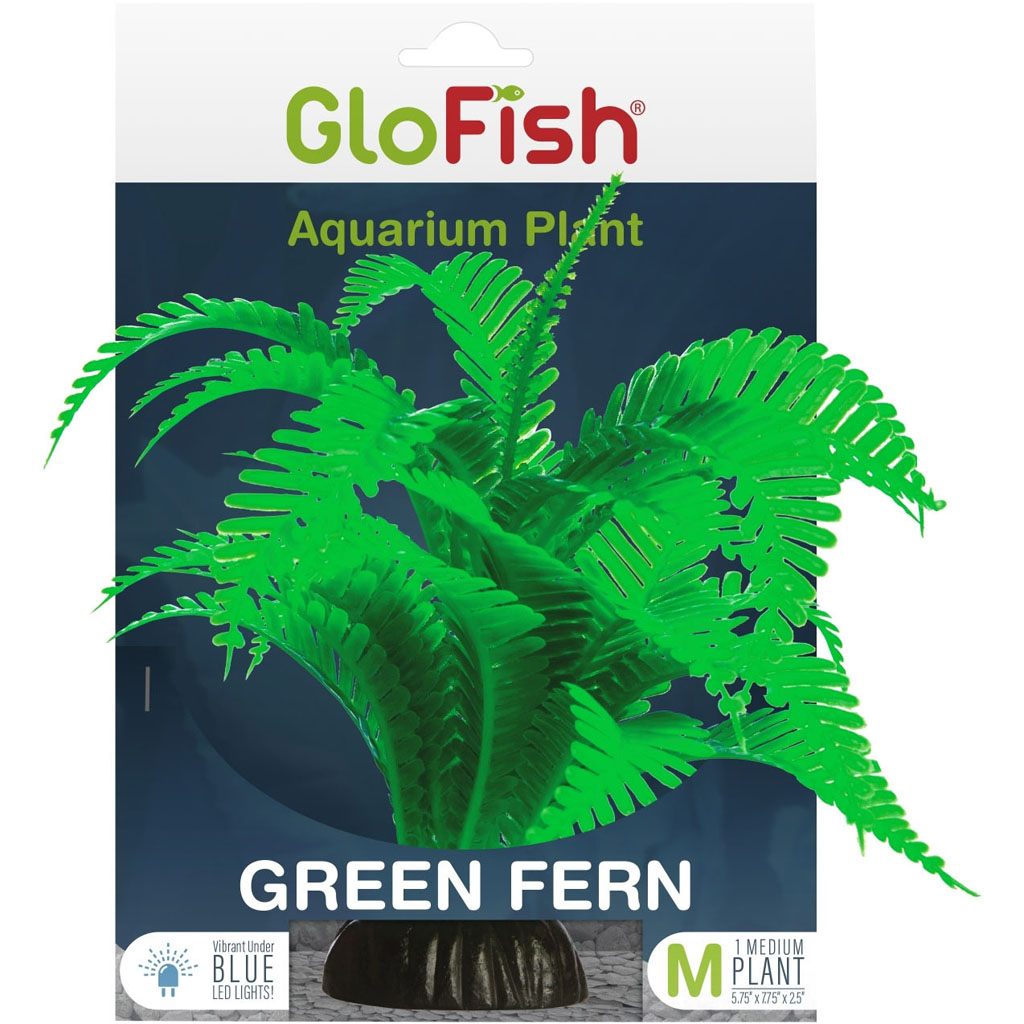 Glofish Aquarium Plant