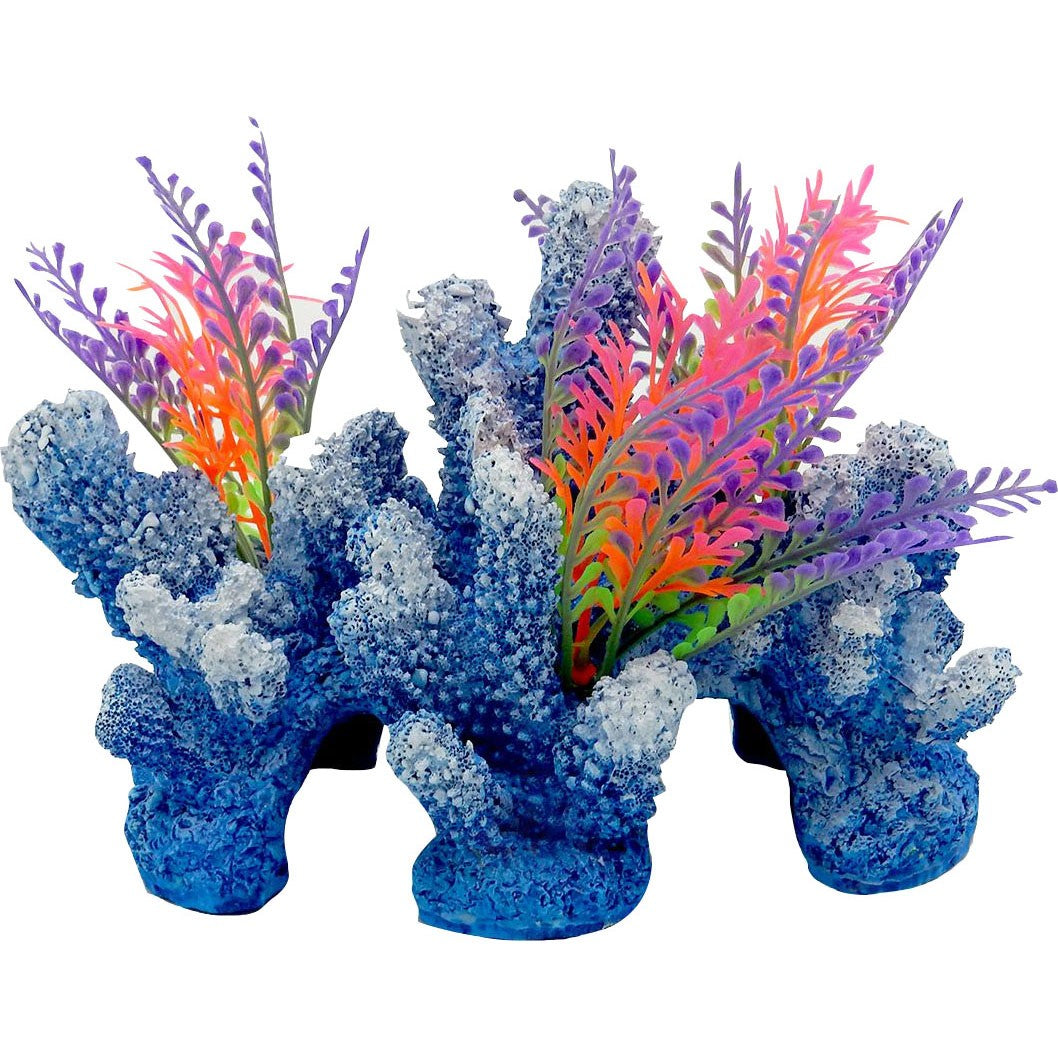 Exotic Environments Rainbow Coral Reef With Caves