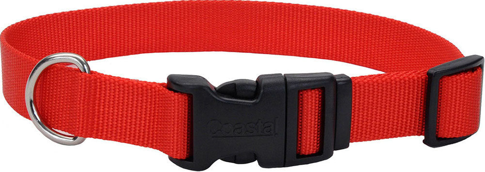 Adjustable Dog Collar W/ Plastic Buckle