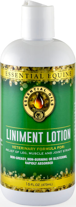 Essential Equine Liniment Lotion