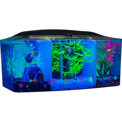 Glofish Betta Trilogy Aquarium