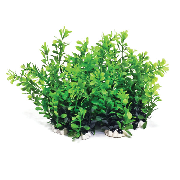 Weighted Aquarium Plant Pack