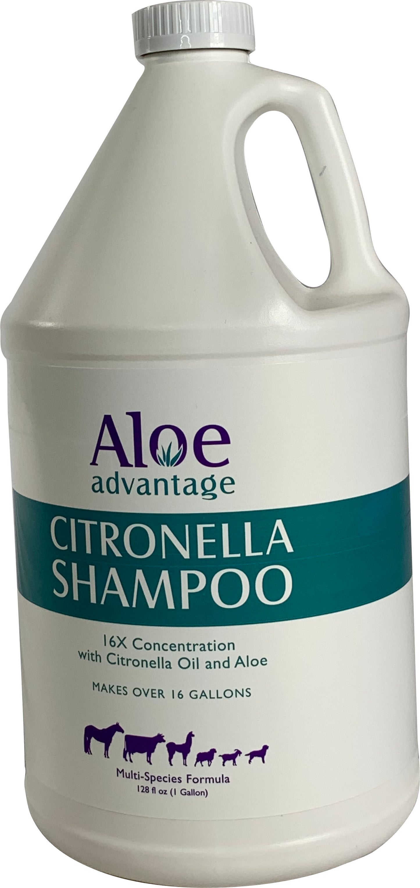 Aloe Advantage Citronella Shampoo 16x Conc