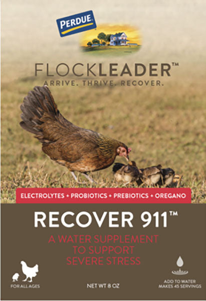 Perdue Flockleader Recover 911 Poultry Supplement