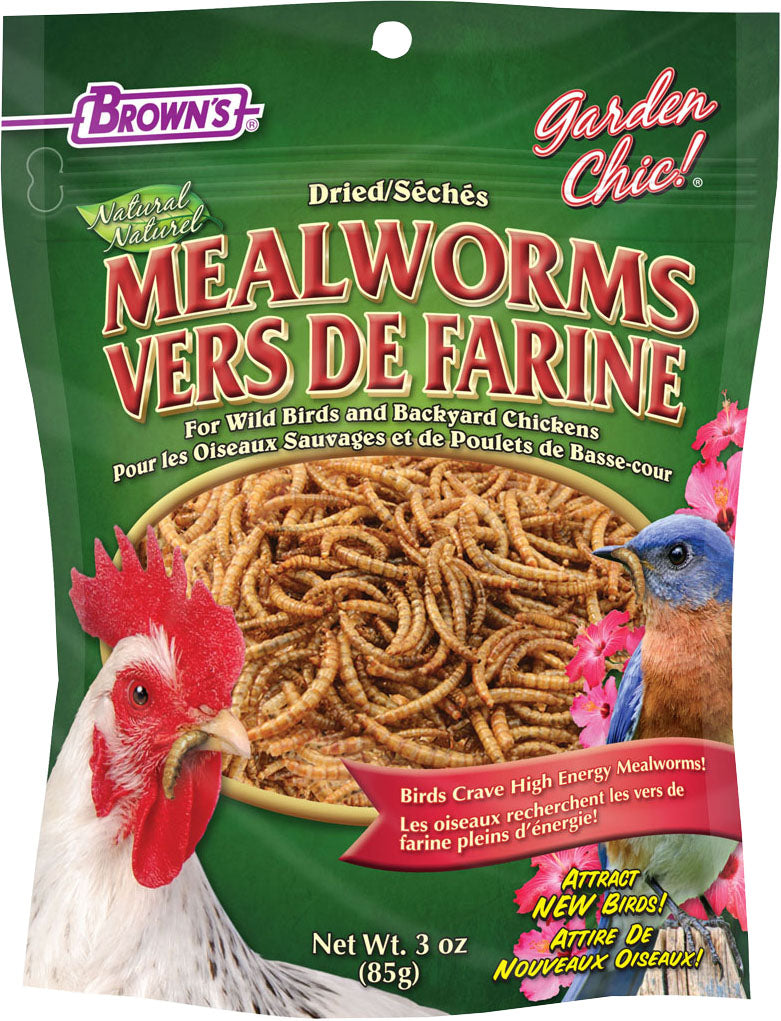 Garden Chic! Mealworms