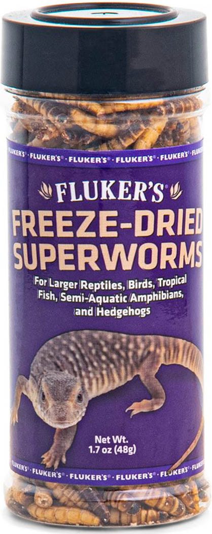 Freeze Dried Superworms