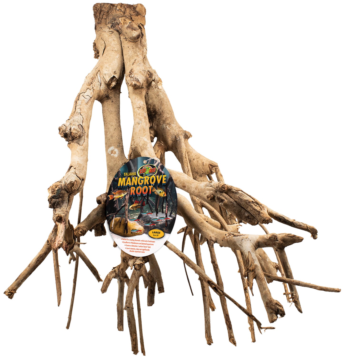 Talawa Mangrove Root