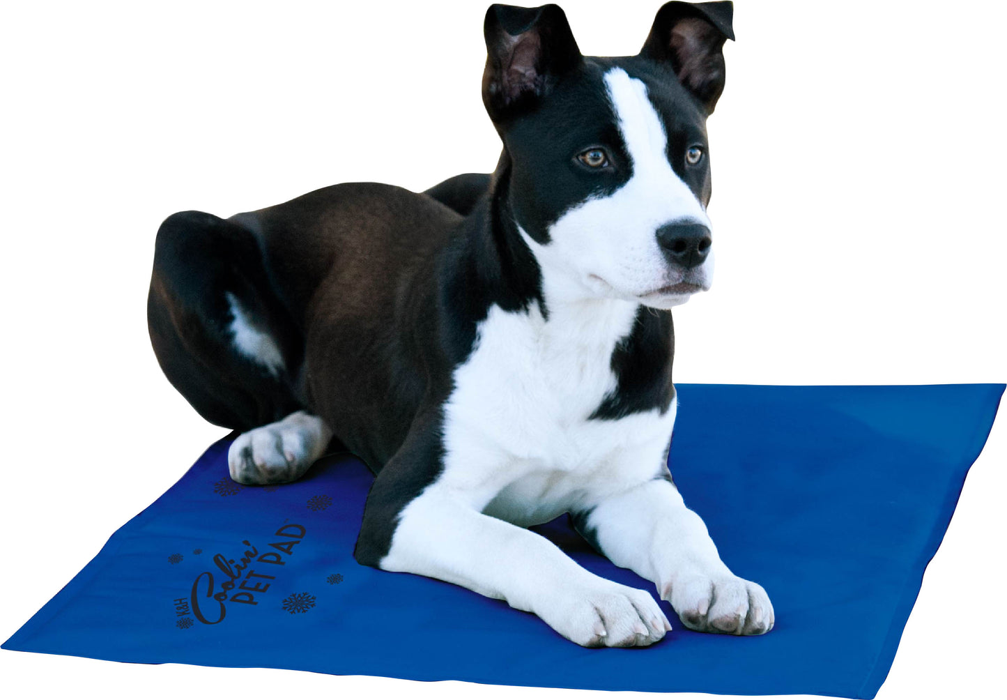 K&H Coolin' Pet Pad