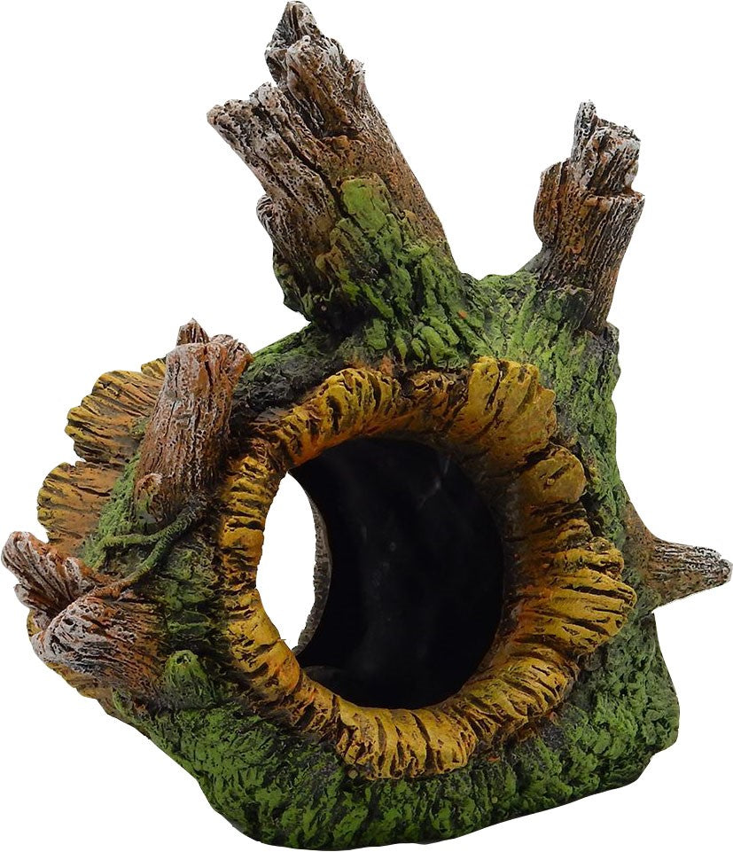 Exotic Environments Tree Root Tunnel