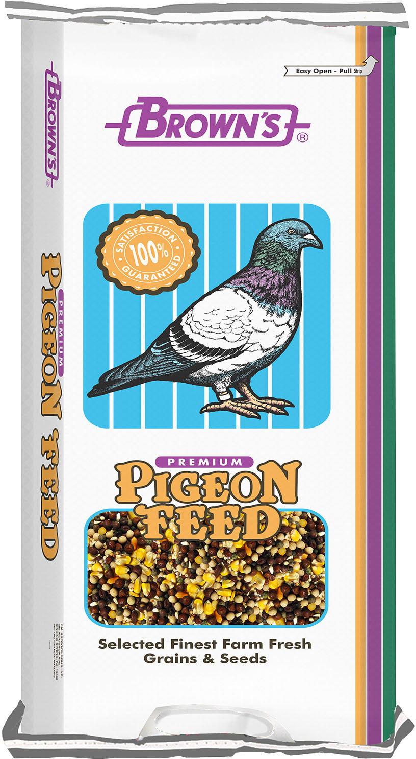Conditioning Small Corn Pigeon Food