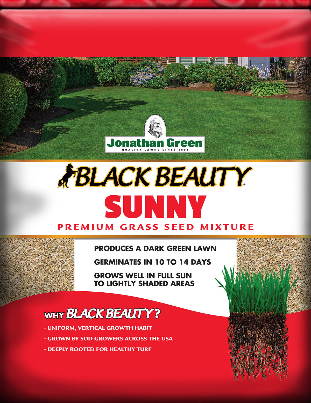 Full Sun Grass Seed Mixture