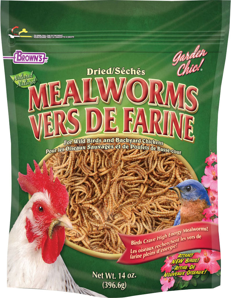 Garden Chic! Mealworms
