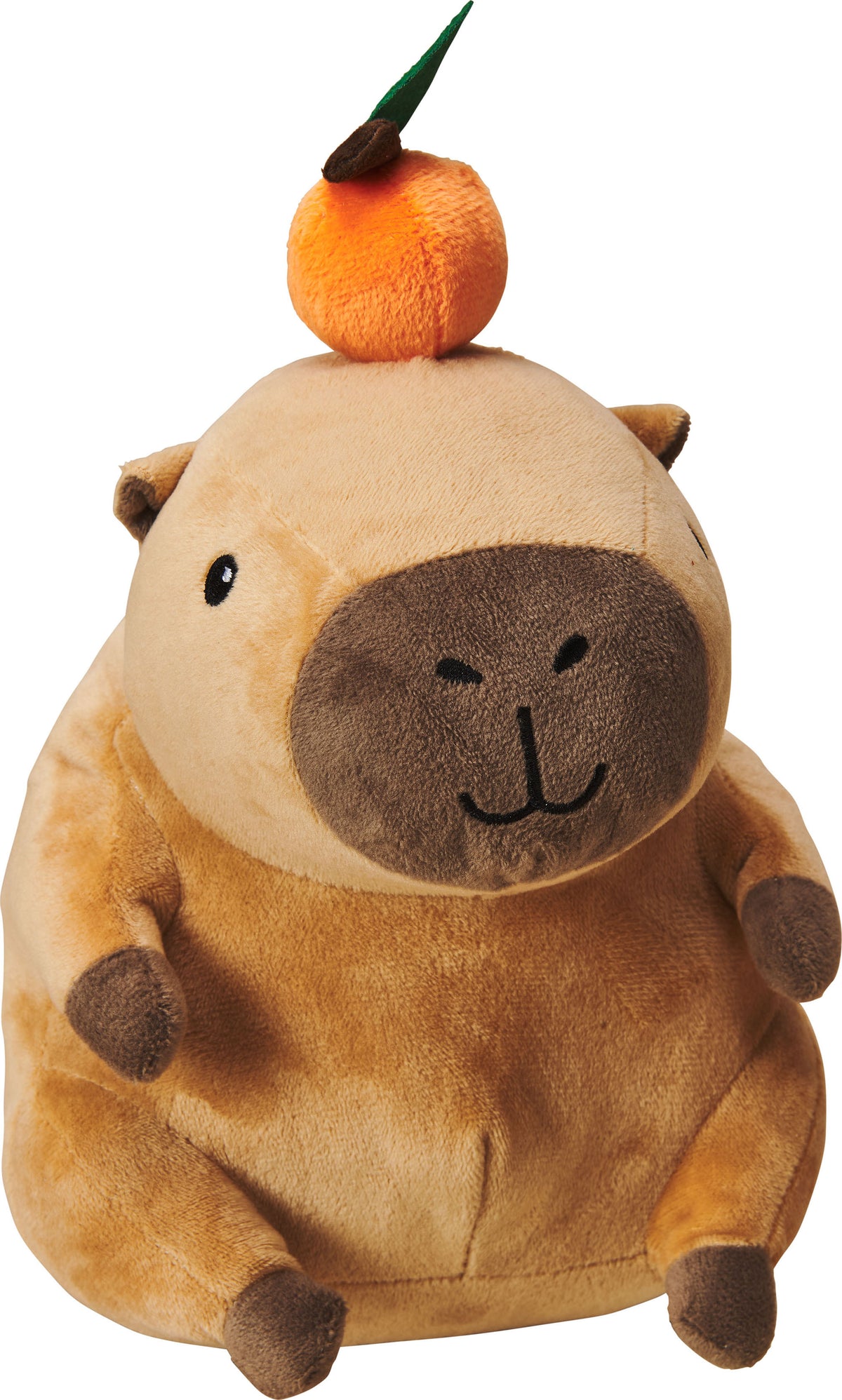 Spot Capybara With Orange