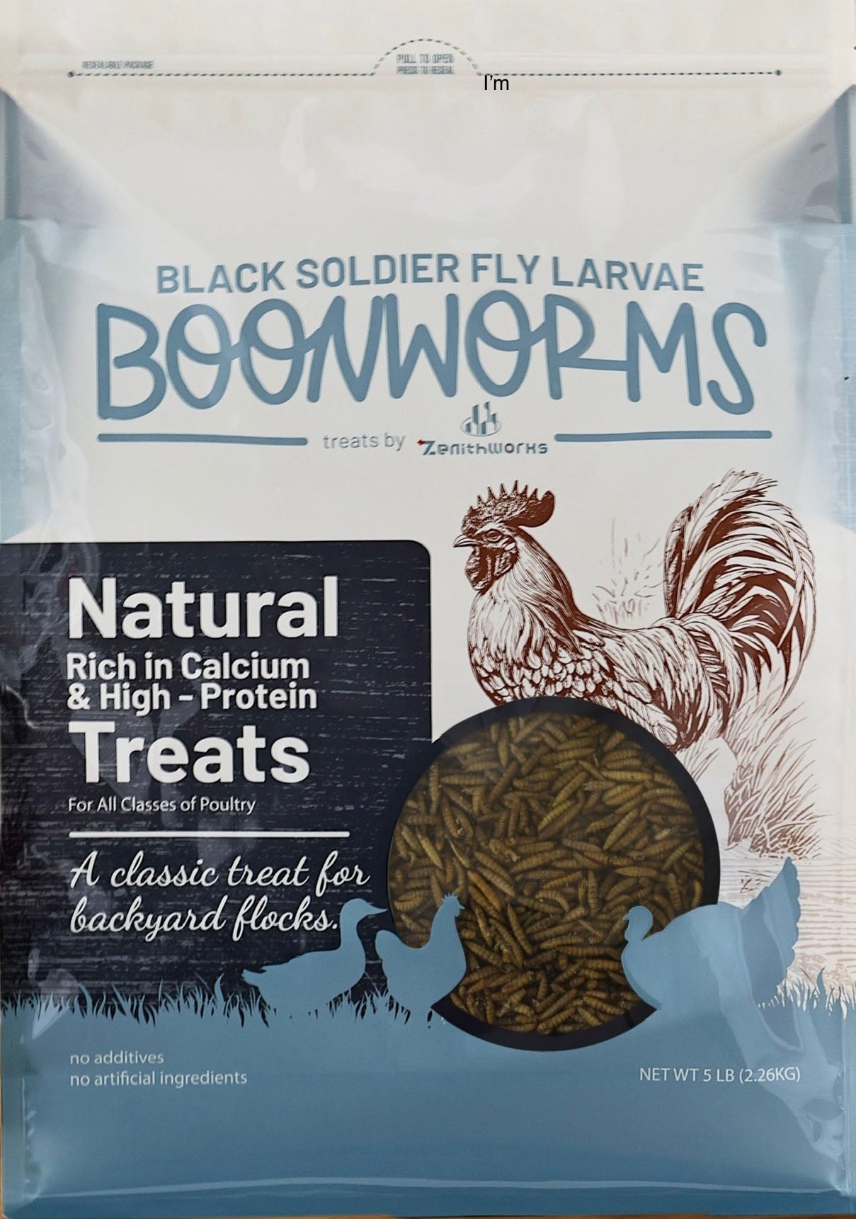 Zenithworks Black Soldier Fly Larvae