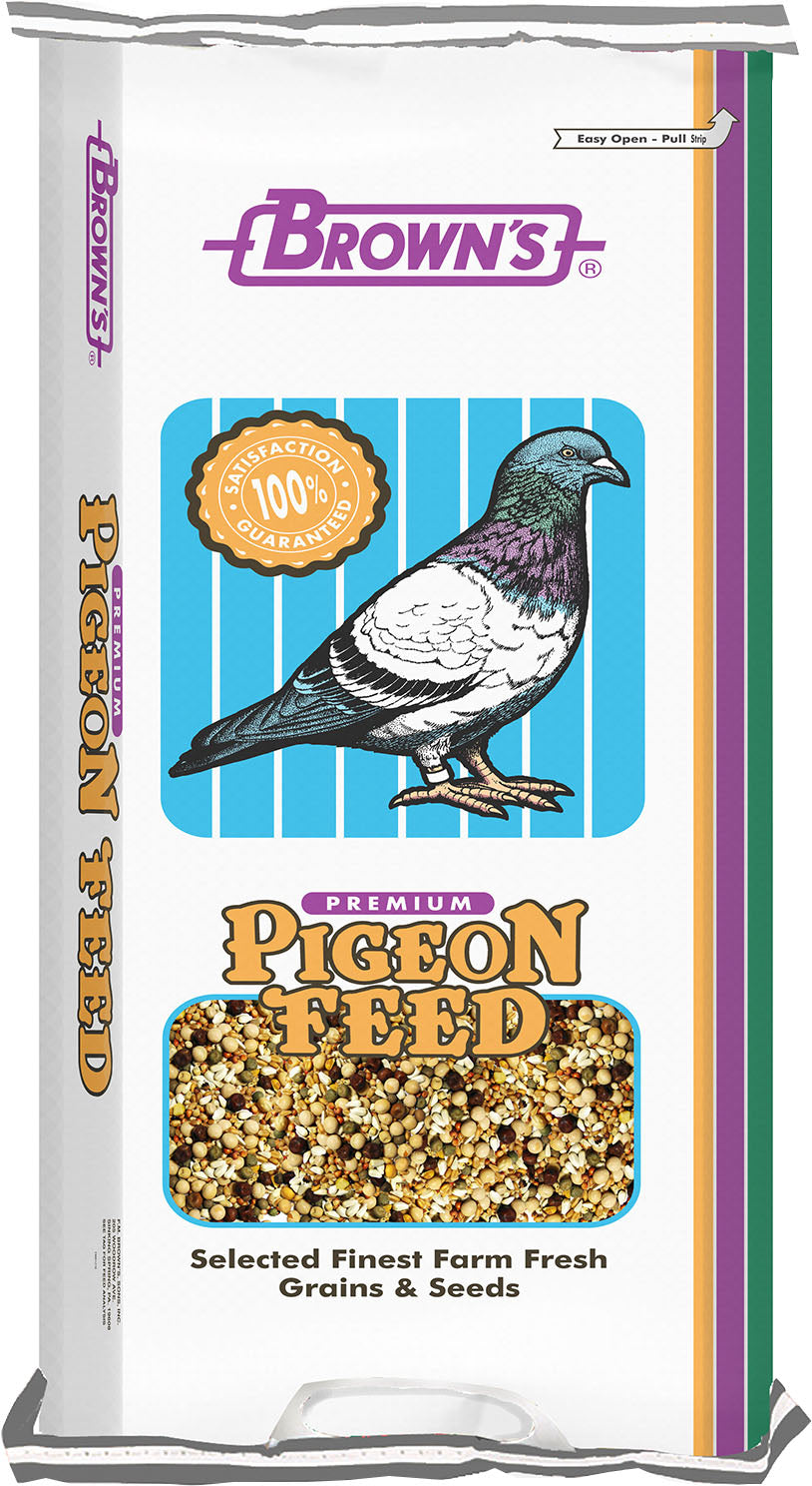 Developer Kafir Pigeon Food