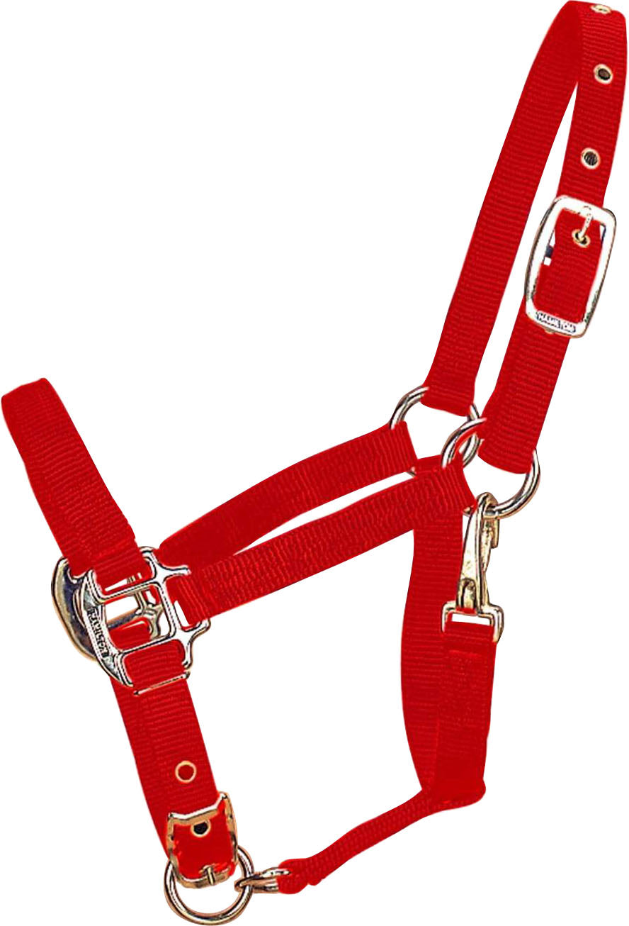 Hamilton Adjustable Chin Halter W/Snap