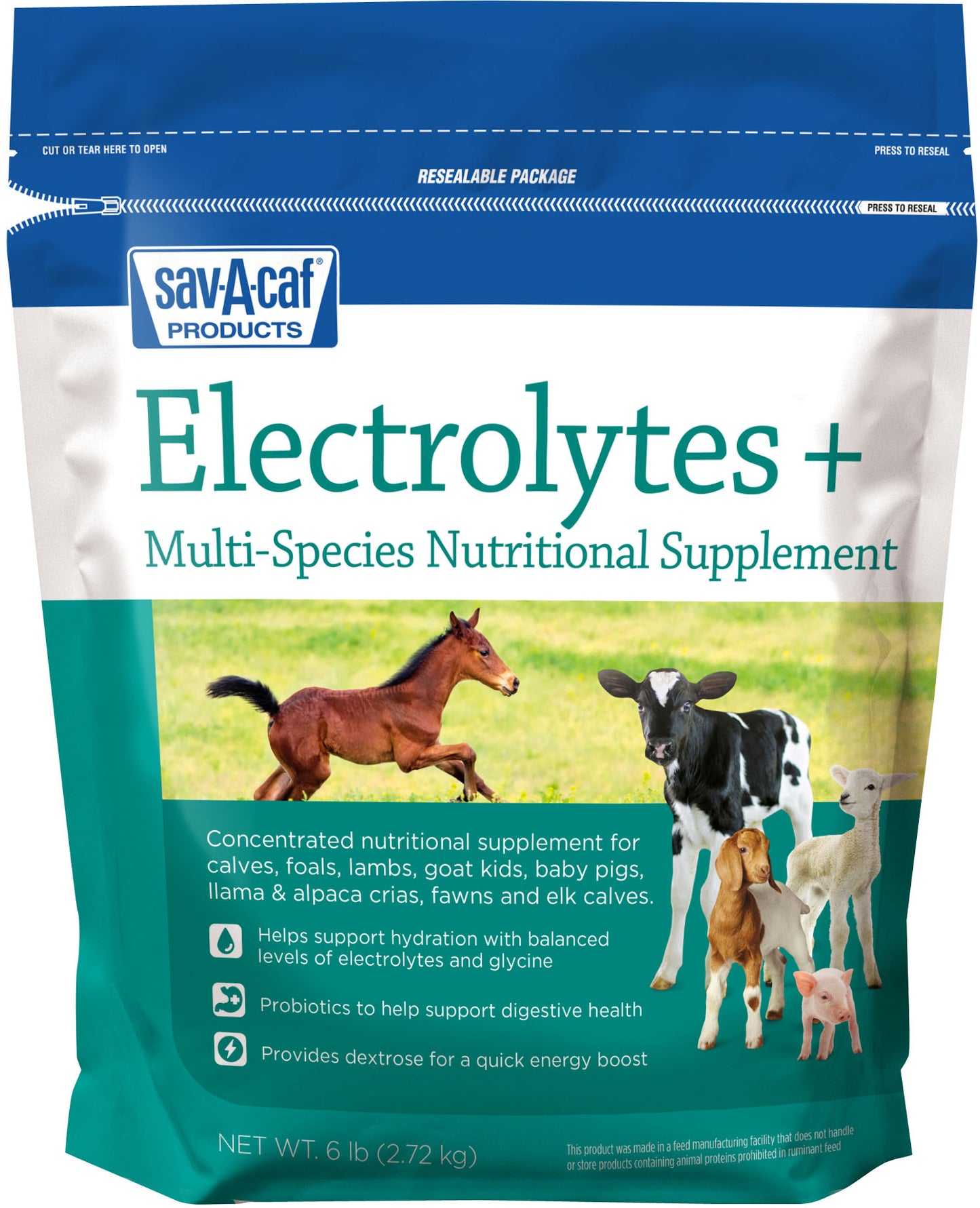 Electrolytes Plus Multi-Species Supplement