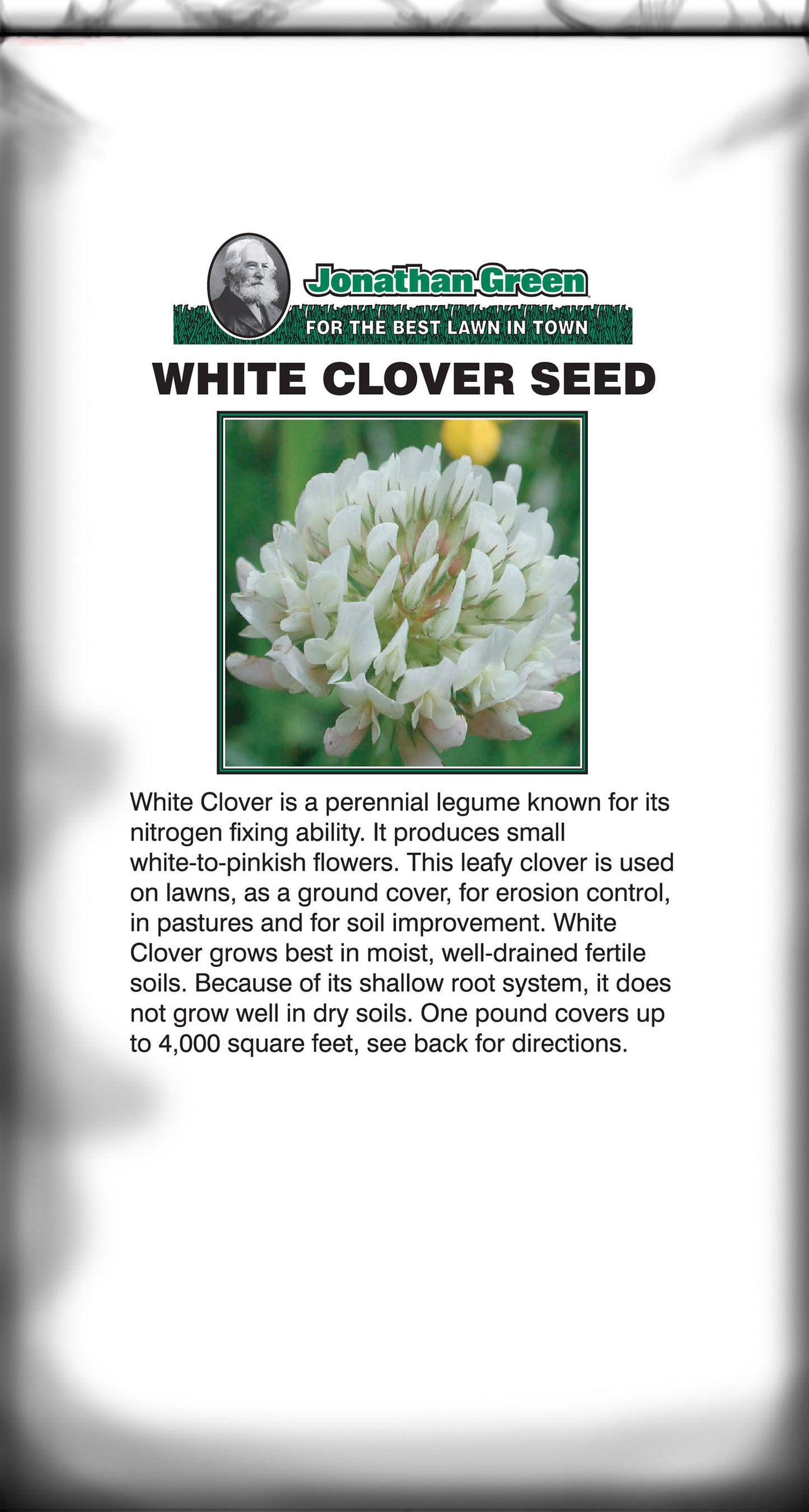 White Clover Seed