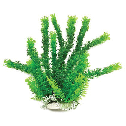 Cabomba-Like Weighted Aquarium Plant