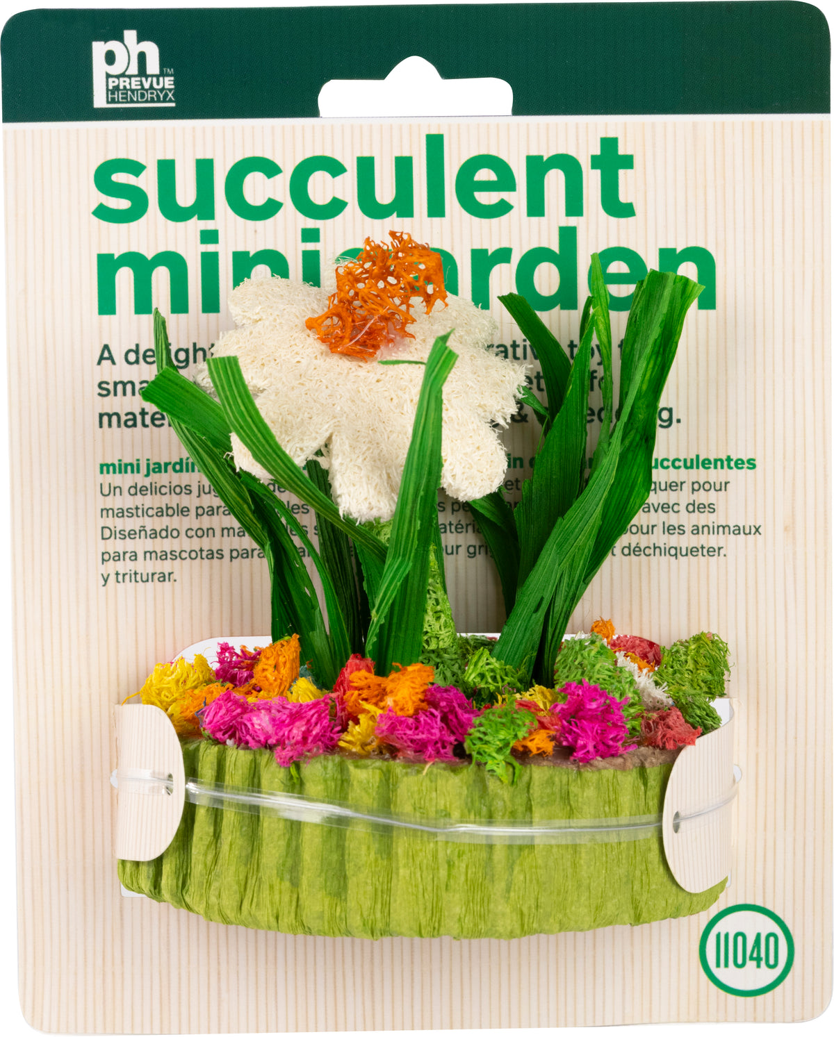 Succulent Minigarden
