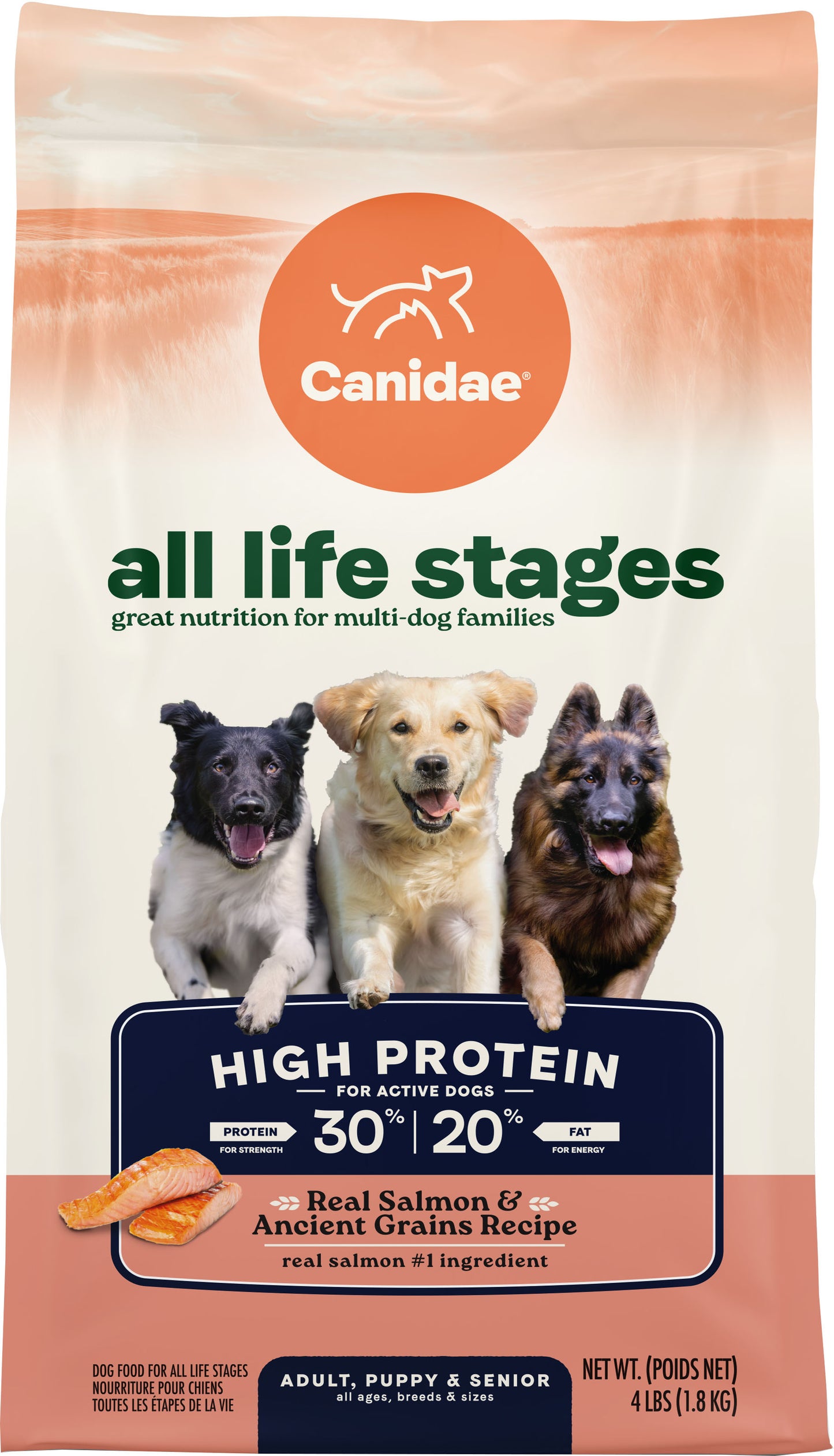 All Life Stages High Protein Dog Food