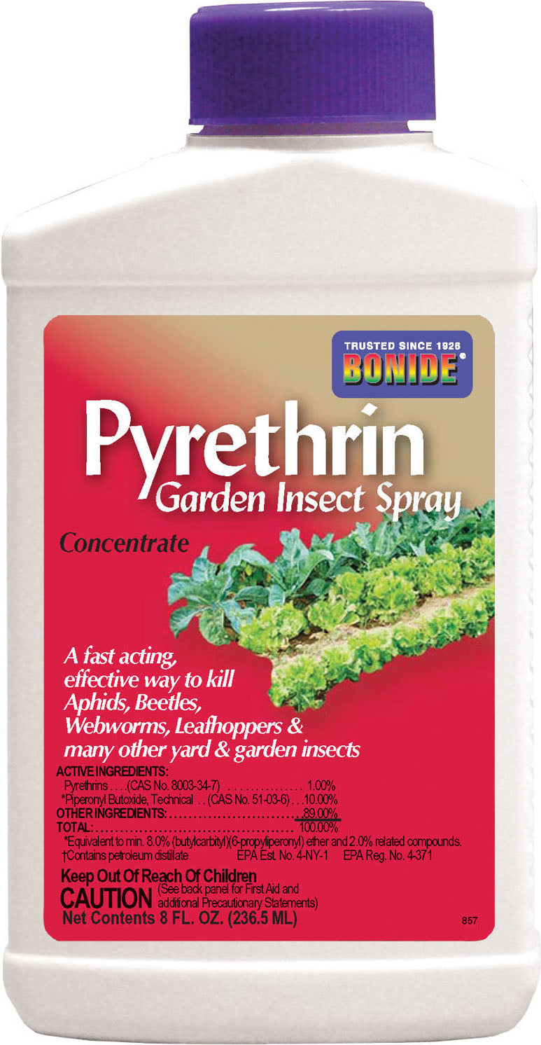Bonide Liquid Pyrethrin Concentrate