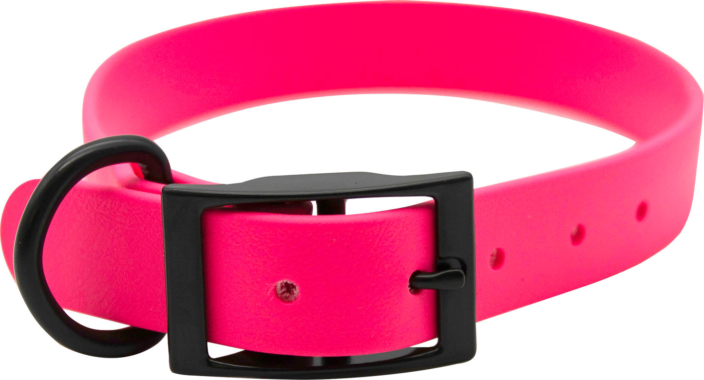 Zeta Biothane Dog Collar W/ Blk Hardware