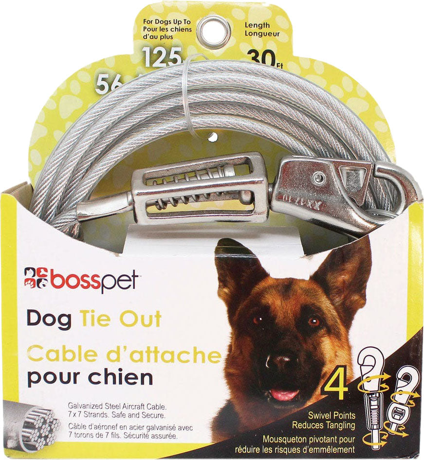 Boss Pet Tie-Out W/ Spring