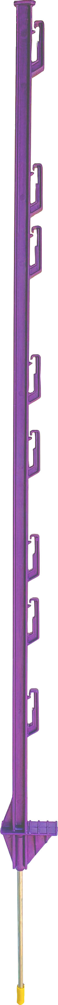 Dare No Trespassing Step In Post