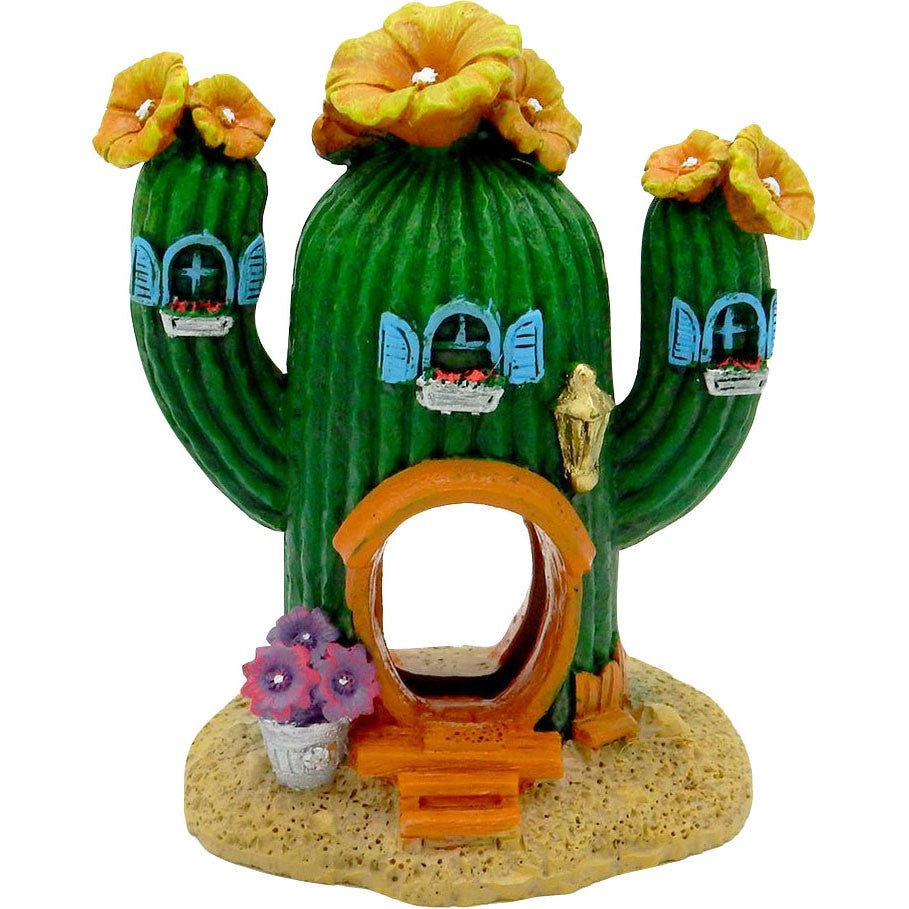 Exotic Environments Cactus Hideaway