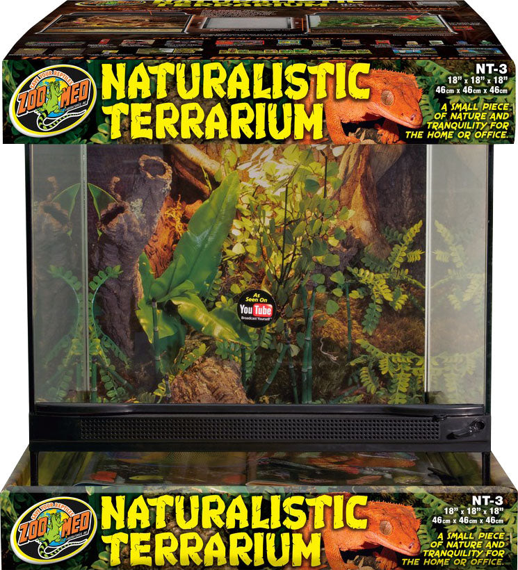 Naturalistic Terrarium